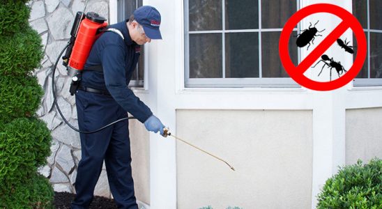 Bozdoğan Hamam Böceği İlaçlama böcek ilaçlama ve haşere kontrolü — ilaclama-tr.com